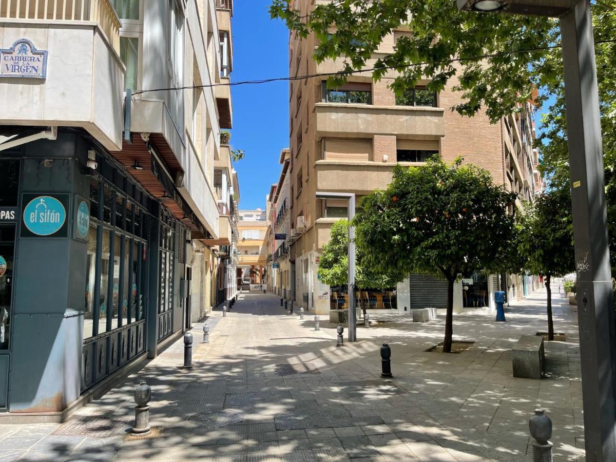 דירות גרנדה Vivienda Turistica Paseo Del Salon מראה חיצוני תמונה